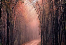 征途国际:詹姆斯17+5+12&东契奇25+10+8,湖人117-119公牛,吉迪三双+绝杀.