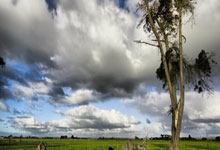 征途国际:亚冬会|闲记:“偷听”冠军们的对话2025-02-10.