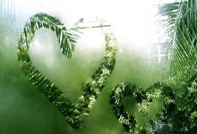 征途国际：费迪南德：人生第一双球鞋是二手的，希望年轻人都有装备踢球.