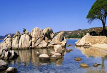 征途国际：[运动一起赢]施之皓、阎森带来乒乓球基础教学.